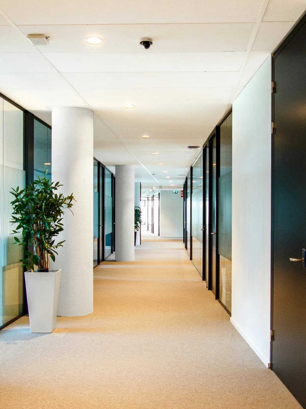 Private Equity